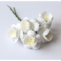 Papierové kvety - cherry biele 5ks