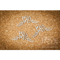 Lepenkový výrerz - Mr & Mrs with wings