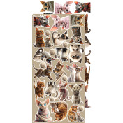 Sada papierov - Cats
