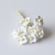 Papierové kvety - mini sweethearts 10ks biele