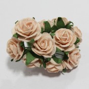 Papierové kvety - open roses marhulové (10ks, 2cm)