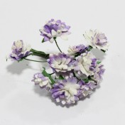 Papierové kvety - aster daisy lilac 10ks