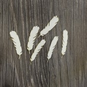 Lepenkový výrez -  pierka