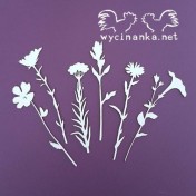 Lepenkový výrez - poľné kvety