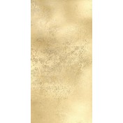 Obojstranný papier  - Zlota dama  30x15