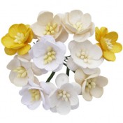 Papierové kvety - cherry kremove-biele 5ks