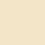Texture cardstock - raffia